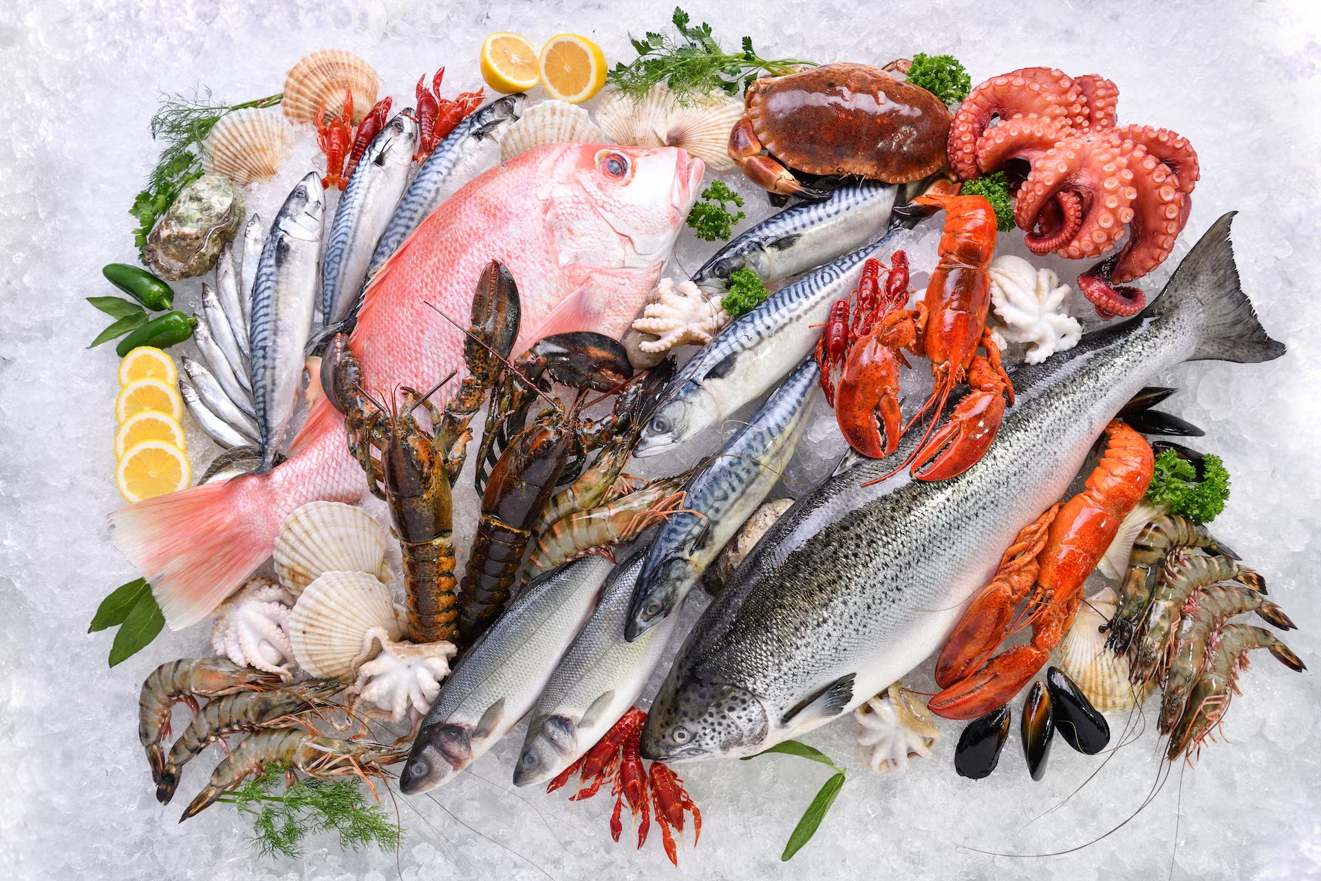 Premium seafood spread