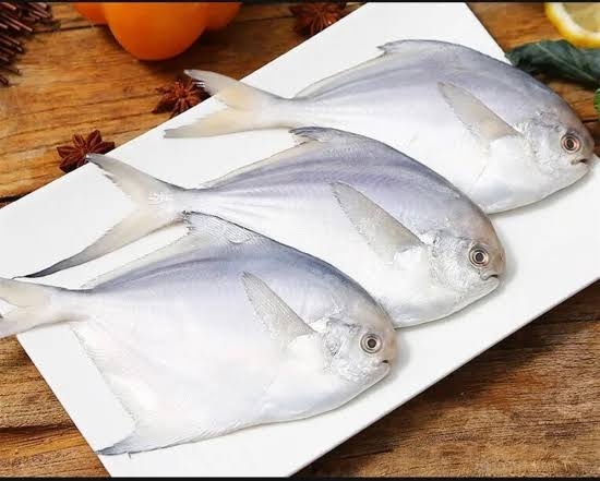 Silver Pomfret