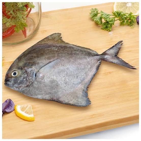 Black Pomfret