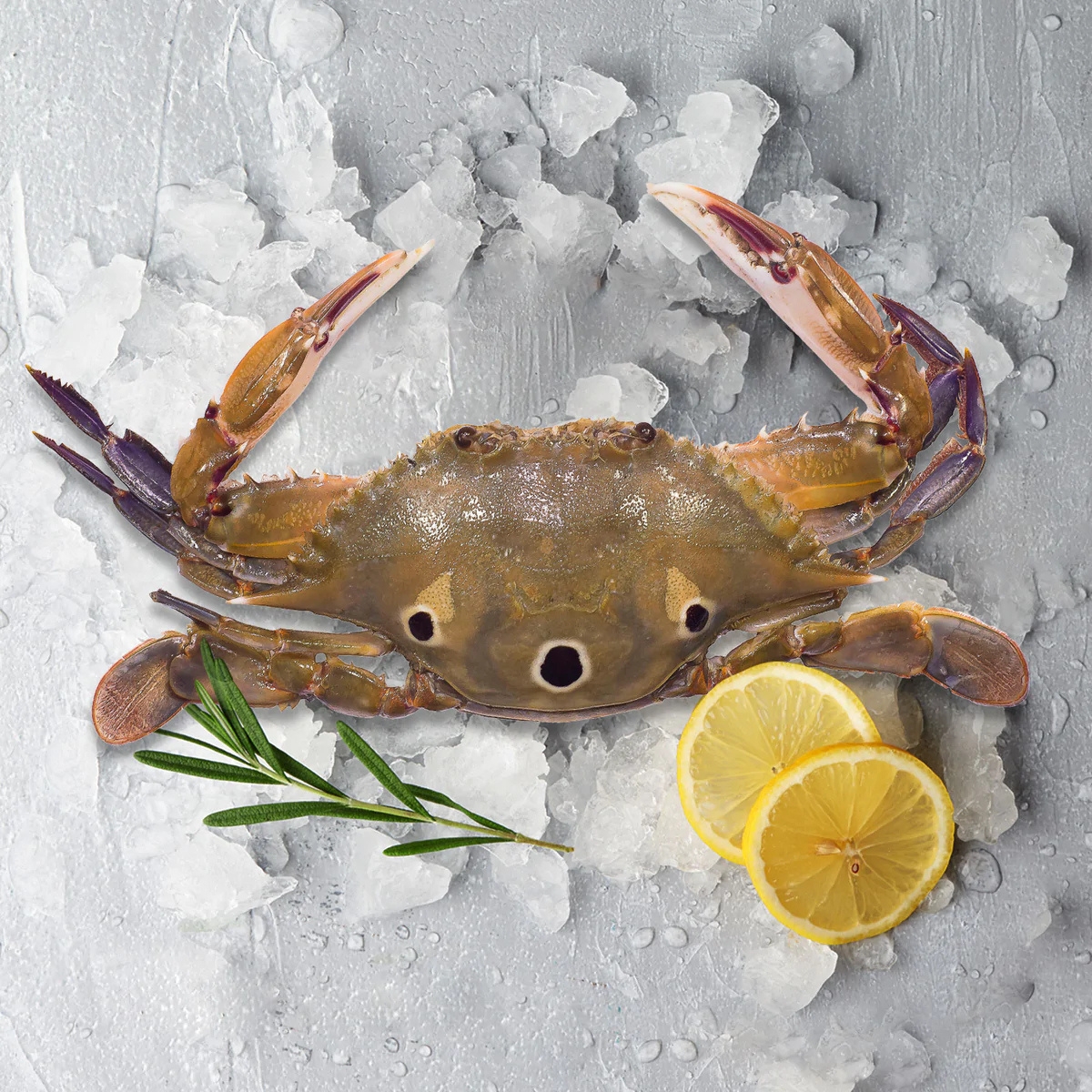 Shellfish